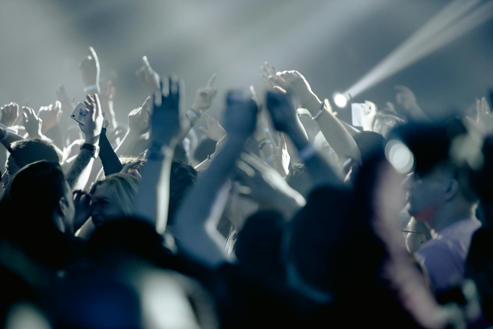 Excited crowd in a concert hall during a live performance